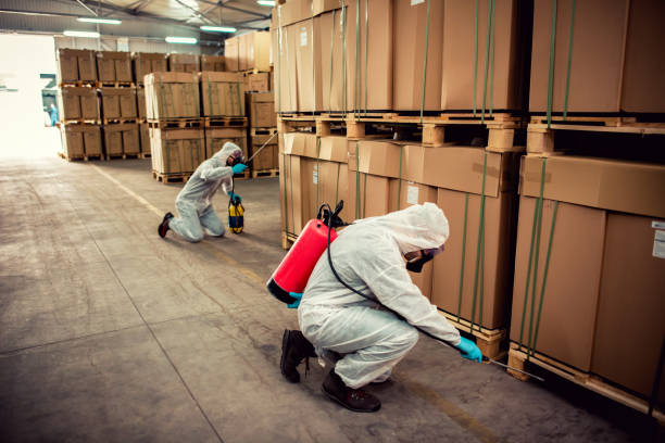 Best Residential Pest Control  in Holland, TX