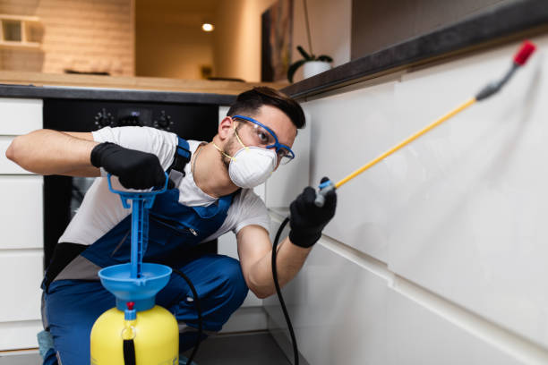 Best Rat Extermination Near Me  in Holland, TX