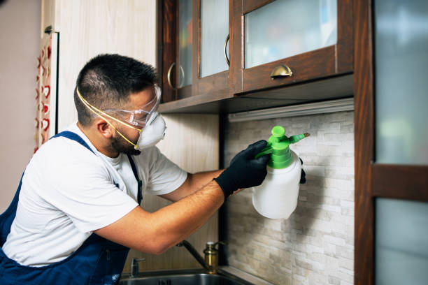 Best Pest Prevention Services  in Holland, TX