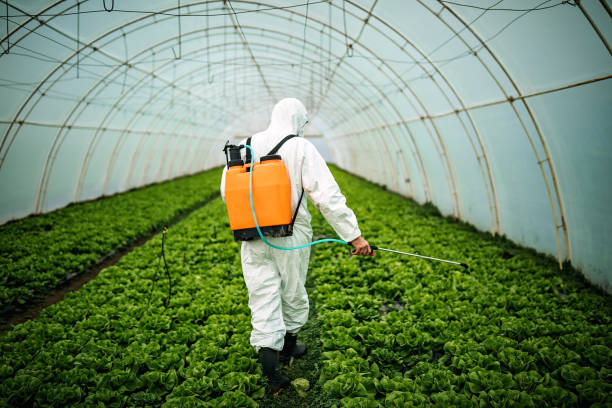 Best Local Pest Control Services  in Holland, TX