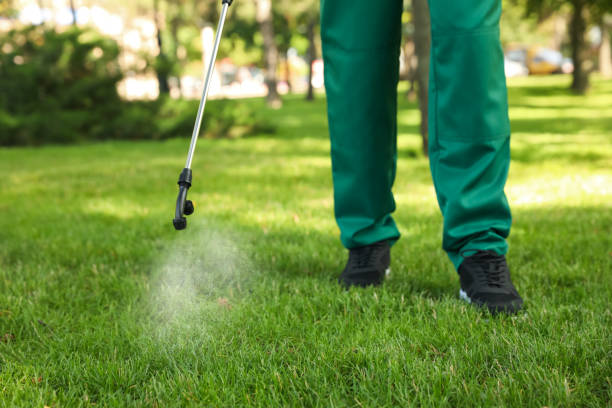 Best Affordable Pest Control Services  in Holland, TX