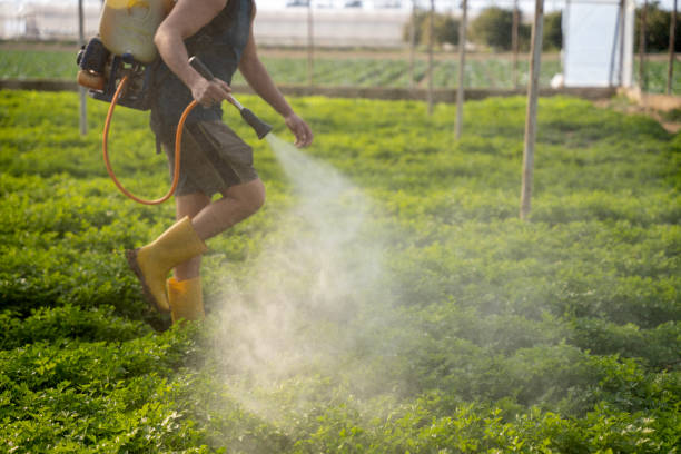 Best Pest Inspection Near Me  in Holland, TX