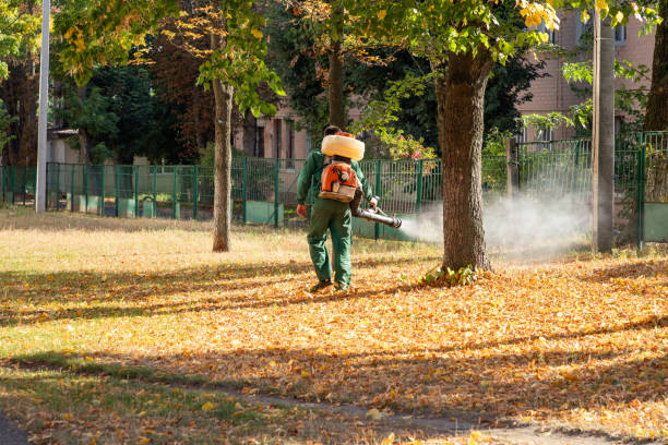 Best Pest Removal Services  in Holland, TX