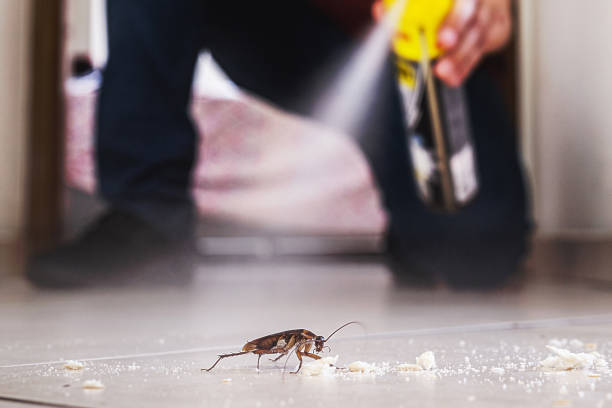 Best Exterminator Services  in Holland, TX